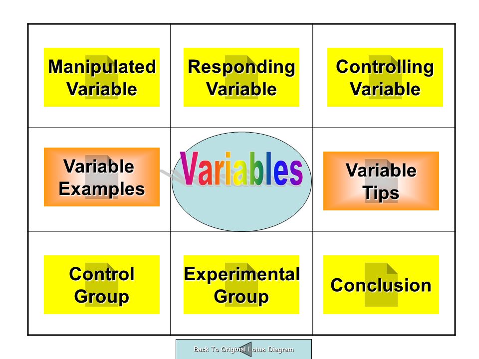 Control Group Manipulated Variable Responding Variable Controlling Variable Experimental Group Conclusion Variable Examples Variable Tips Back To Original Lotus Diagram Back To Original Lotus Diagram
