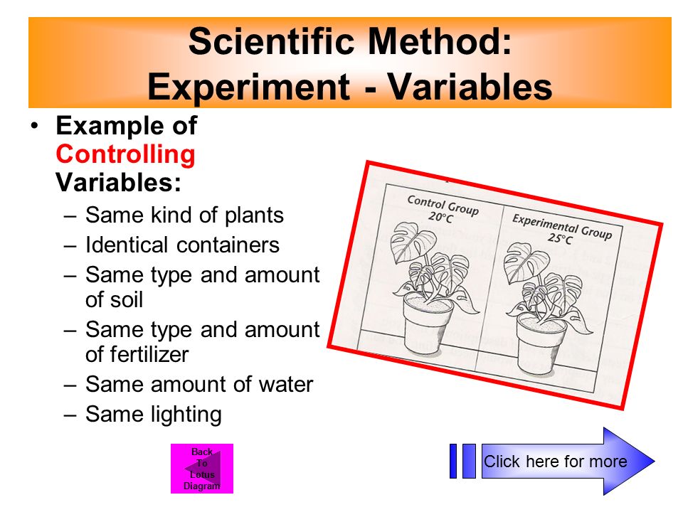 Scientific Method: Experiment - Variables Example of Controlling Variables: –Same kind of plants –Identical containers –Same type and amount of soil –Same type and amount of fertilizer –Same amount of water –Same lighting Click here for more Back To Lotus Diagram