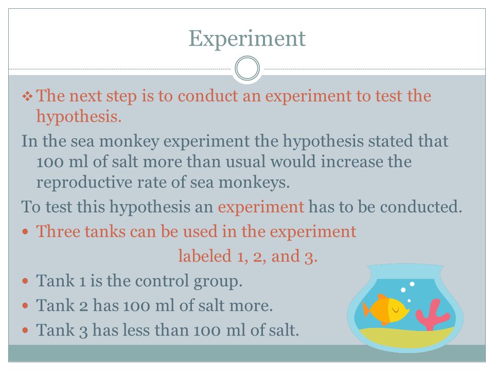 Experiment  The next step is to conduct an experiment to test the hypothesis.