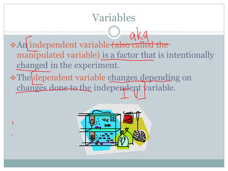 Variables  An independent variable (also called the manipulated variable) is a factor that is intentionally changed in the experiment.