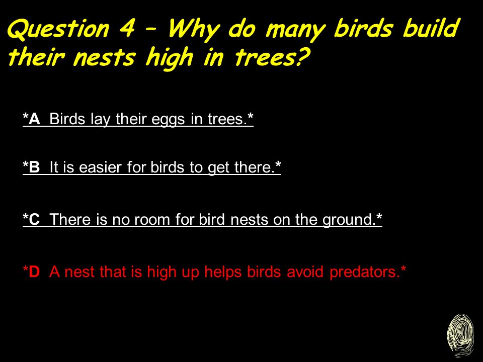 Question 4 – Why do many birds build their nests high in trees.