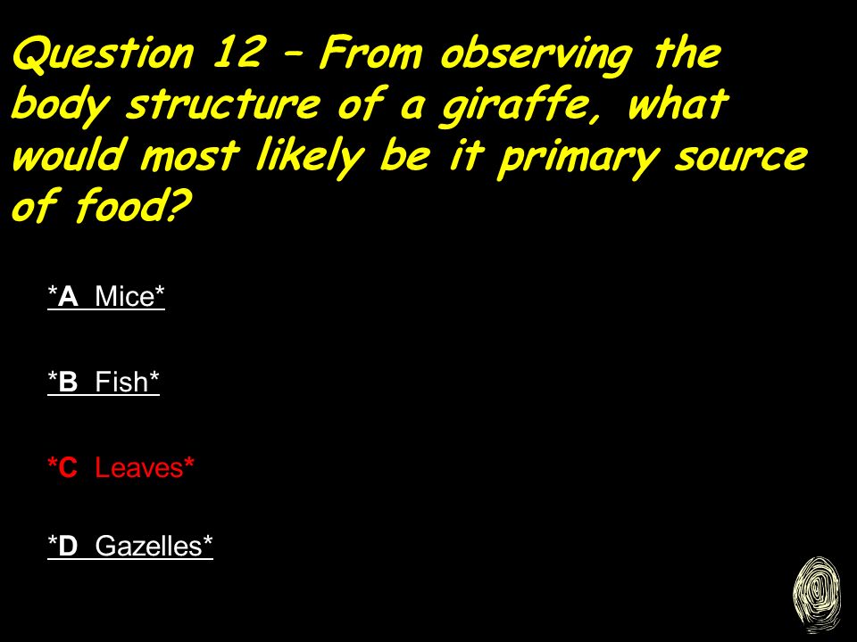 Question 12 – From observing the body structure of a giraffe, what would most likely be it primary source of food.
