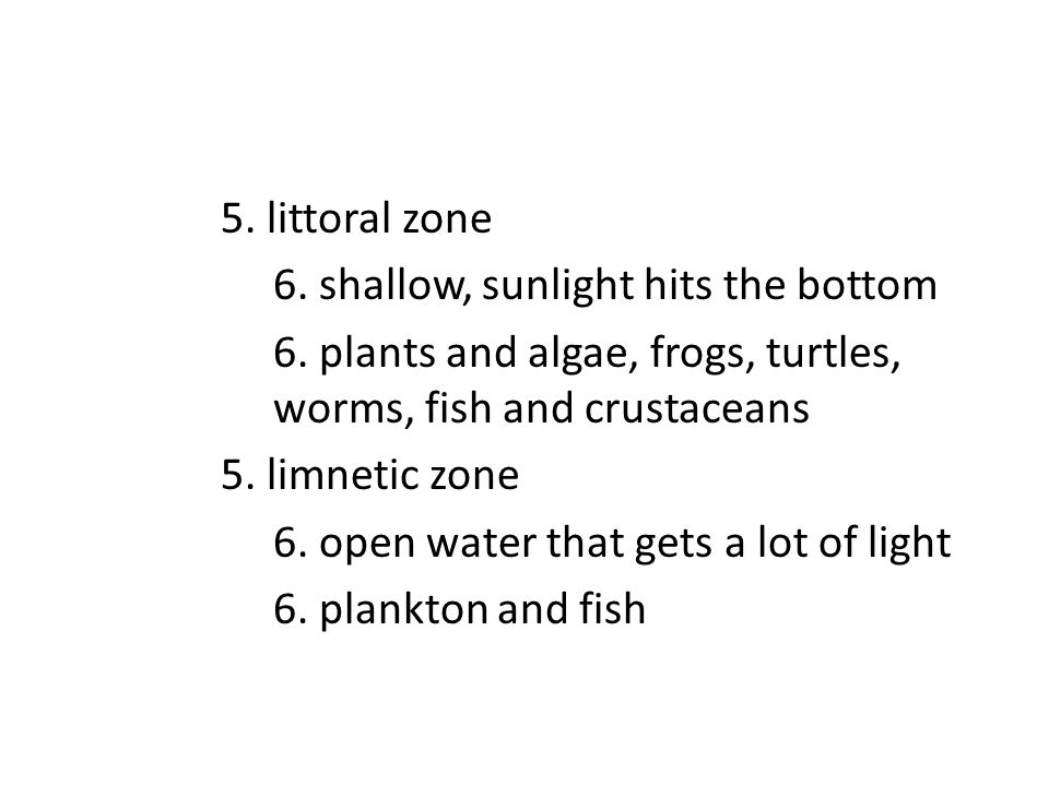 5. littoral zone 6. shallow, sunlight hits the bottom 6.