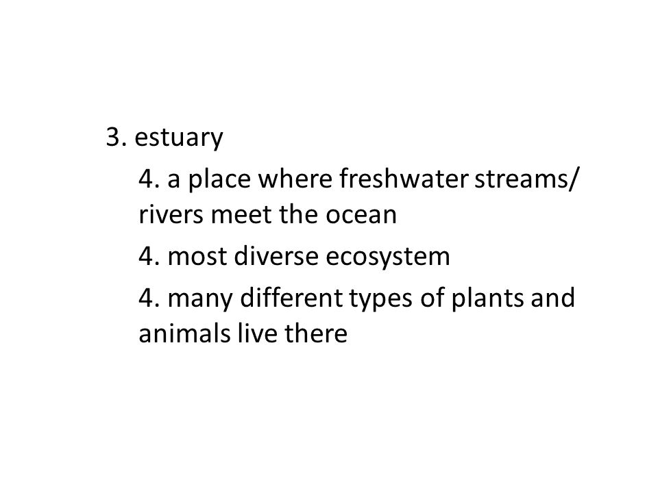 3. estuary 4. a place where freshwater streams/ rivers meet the ocean 4.