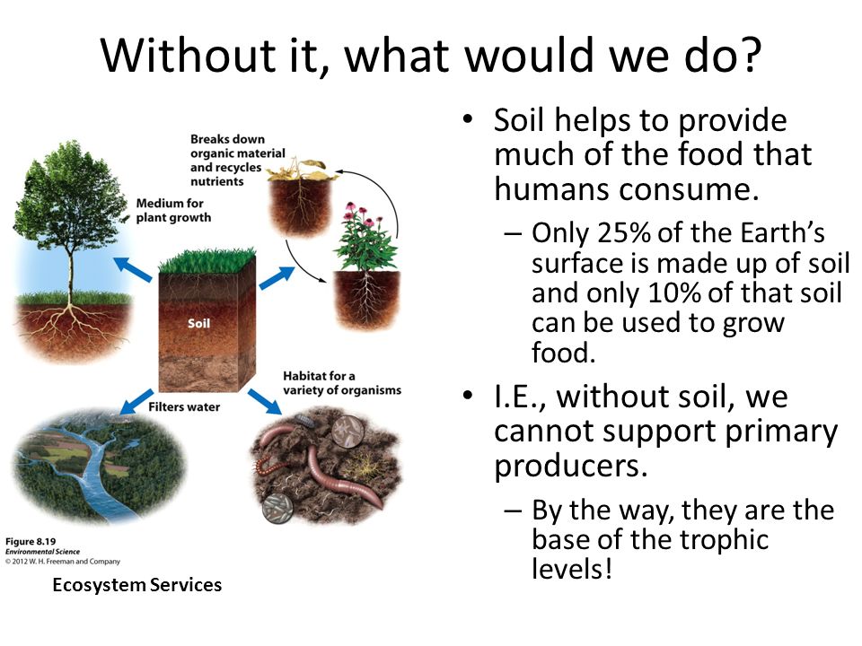 Soil's main important uses for humanity.. 1. Sand has higher percolation  than soil 2. Water will not leach right through, but give plants time to. -  ppt download
