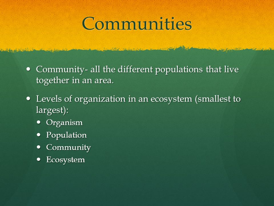 Communities Community- all the different populations that live together in an area.