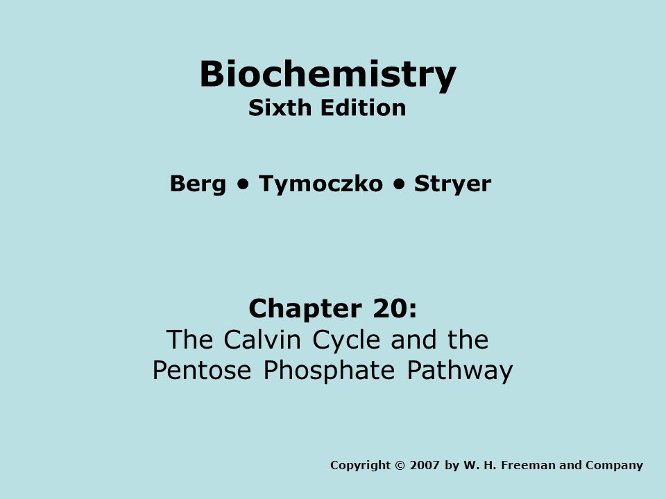 Chapter 20: The Calvin Cycle and the Pentose Phosphate Pathway Copyright © 2007 by W.