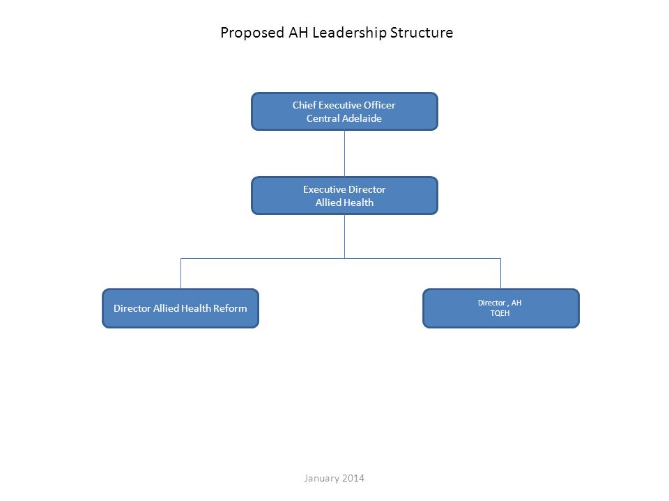 Executive Director Allied Health Director Allied Health Reform Director, AH TQEH Proposed AH Leadership Structure Chief Executive Officer Central Adelaide January 2014