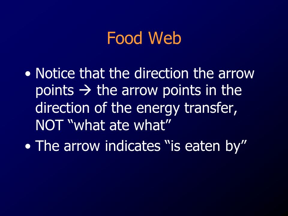 Notice that the direction the arrow points  the arrow points in the direction of the energy transfer, NOT what ate what The arrow indicates is eaten by
