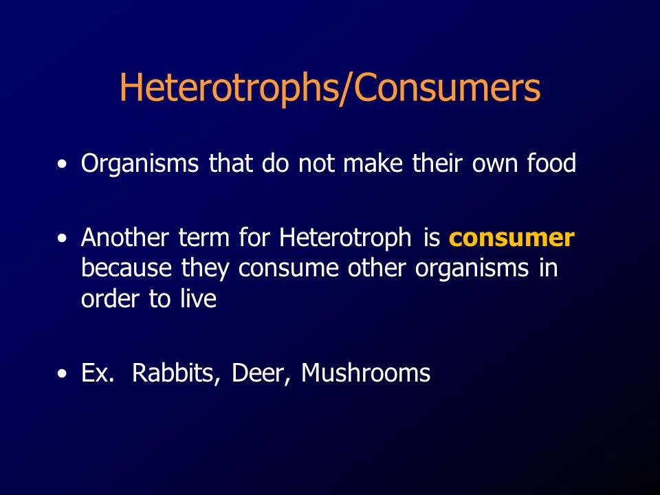 Heterotrophs/Consumers Organisms that do not make their own food Another term for Heterotroph is consumer because they consume other organisms in order to live Ex.
