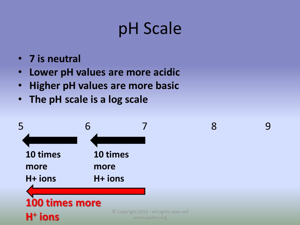 pH Scale 7 is neutral Lower pH values are more acidic Higher pH values are more basic The pH scale is a log scale © Copyright all rights reserved   10 times more H+ ions 10 times more H+ ions 100 times more H + ions