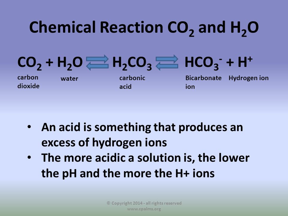 Chemical Reaction CO 2 and H 2 O CO 2 + H 2 O H 2 CO 3 HCO H + © Copyright all rights reserved   carbon dioxide water carbonic acid Bicarbonate ion Hydrogen ion An acid is something that produces an excess of hydrogen ions The more acidic a solution is, the lower the pH and the more the H+ ions