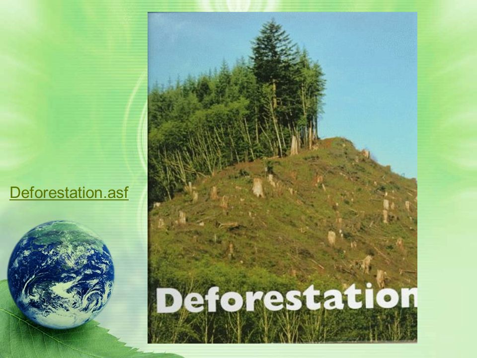 Explain the relationship between poor soil and deforestation in Sub-Saharan Africa.
