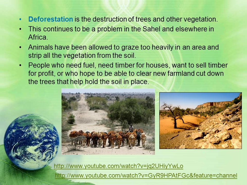 Deforestation.asf