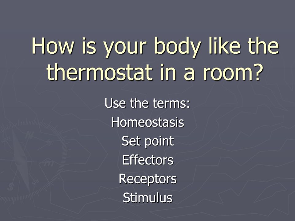 How is your body like the thermostat in a room.