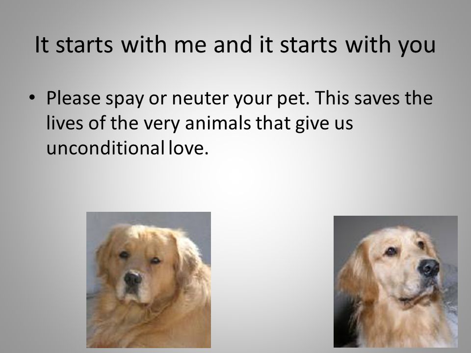 It starts with me and it starts with you Please spay or neuter your pet.