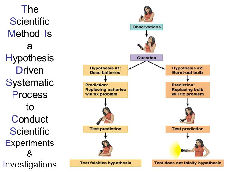 The Scientific Method Is a Hypothesis Driven Systematic Process to Conduct Scientific Experiments & Investigations