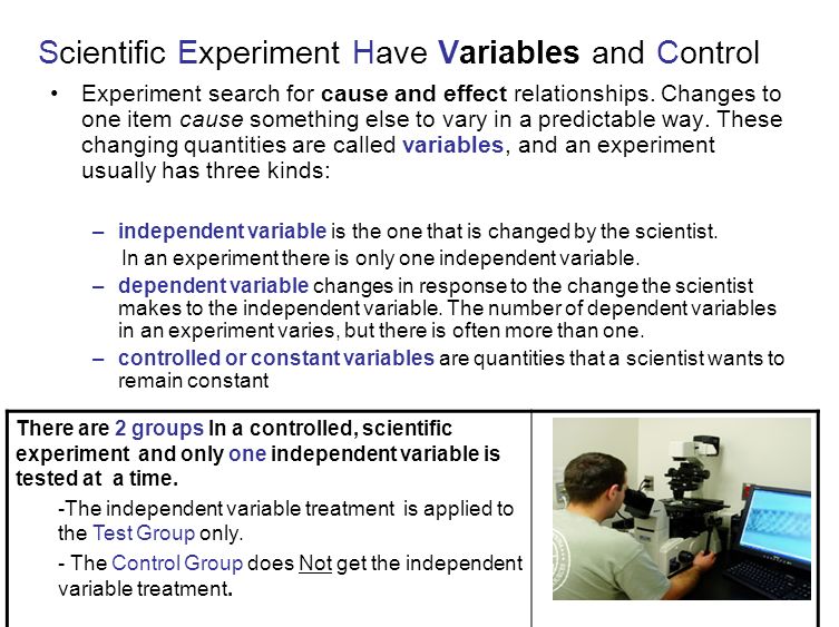 Scientific Experiment Have Variables and Control Experiment search for cause and effect relationships.