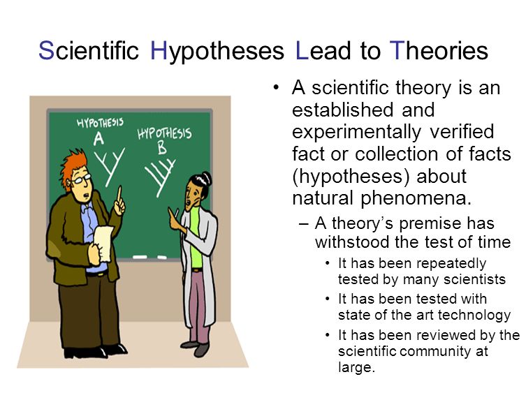 Scientific Hypotheses Lead to Theories A scientific theory is an established and experimentally verified fact or collection of facts (hypotheses) about natural phenomena.