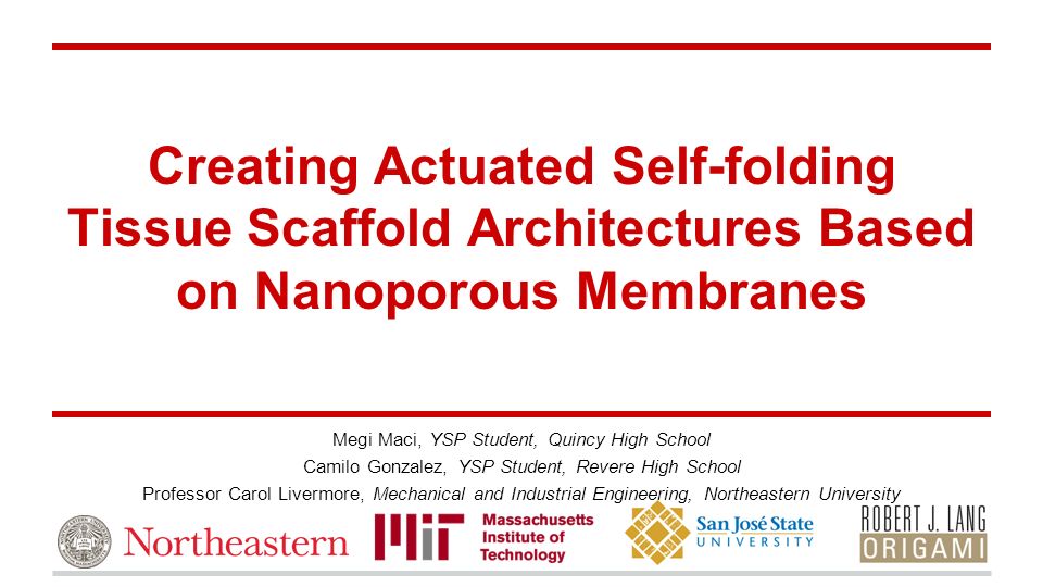 Creating Actuated Self-folding Tissue Scaffold Architectures Based on Nanoporous Membranes Megi Maci, YSP Student, Quincy High School ​ Camilo Gonzalez, YSP Student, Revere High School ​ Professor Carol Livermore, Mechanical and Industrial Engineering, Northeastern University ​