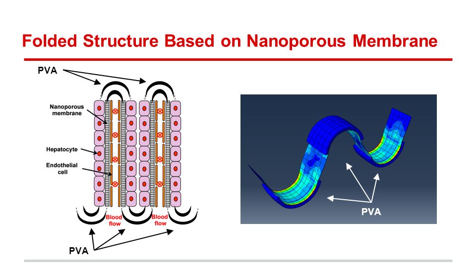 Folded Structure Based on Nanoporous Membrane PVA