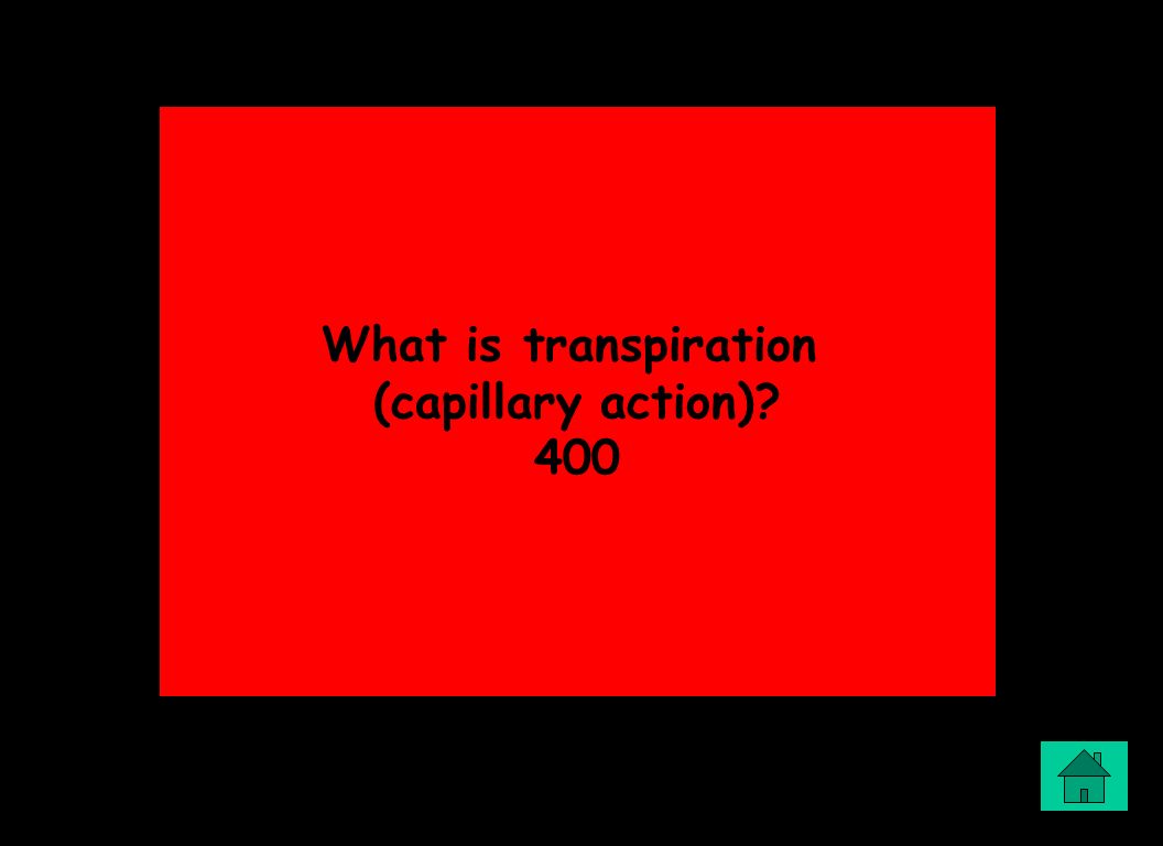 What is transpiration (capillary action) 400