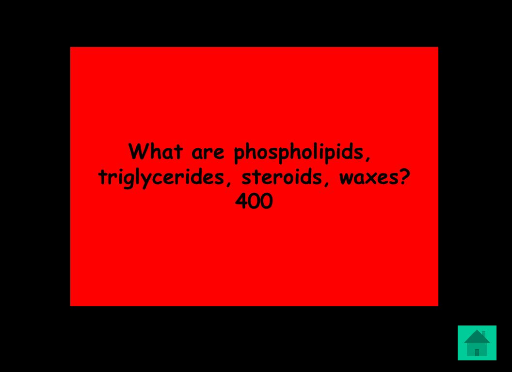 What are phospholipids, triglycerides, steroids, waxes 400