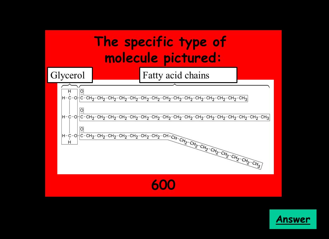 The specific type of molecule pictured: 600 Answer GlycerolFatty acid chains