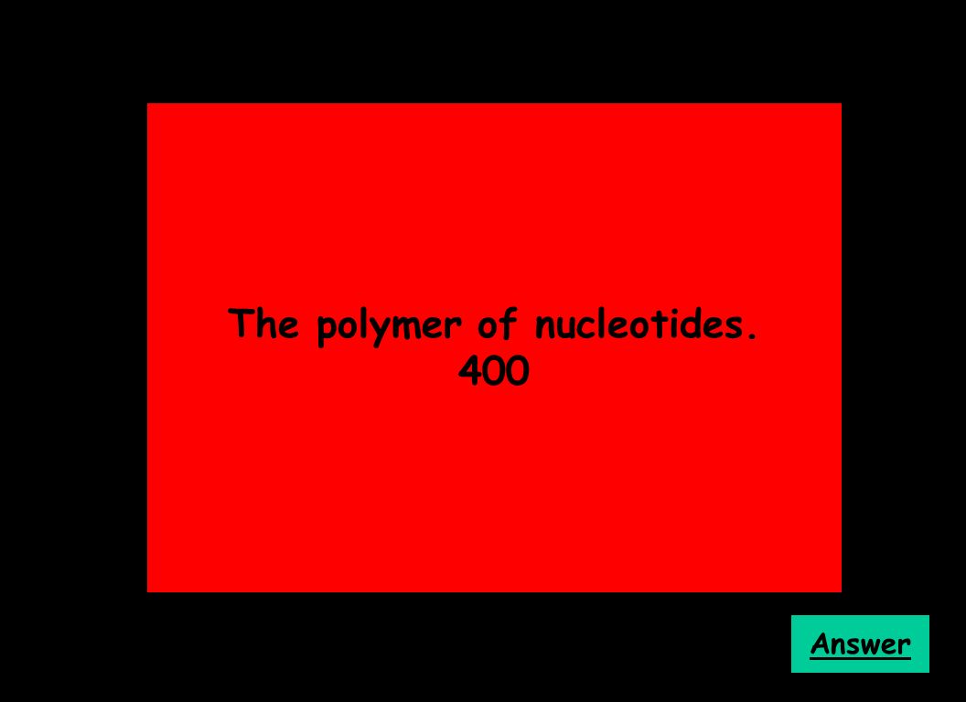 The polymer of nucleotides. 400 Answer
