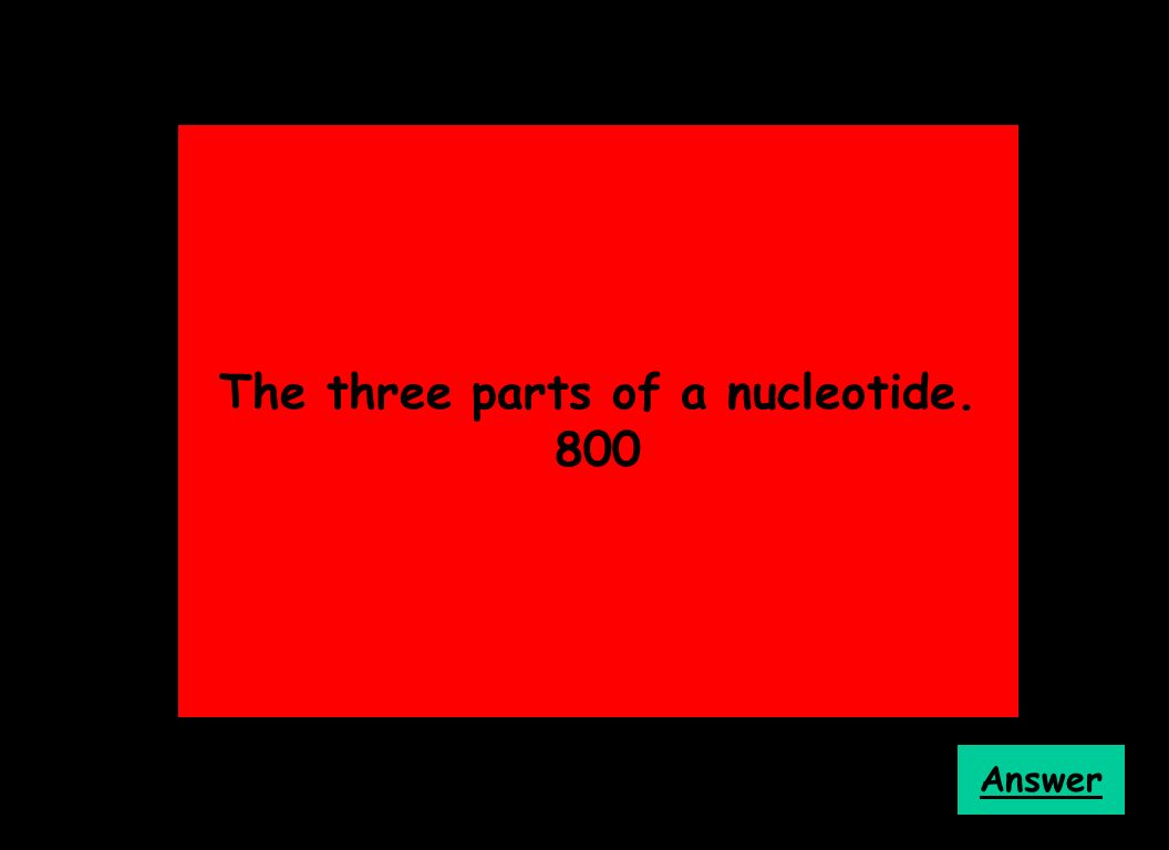 The three parts of a nucleotide. 800 Answer