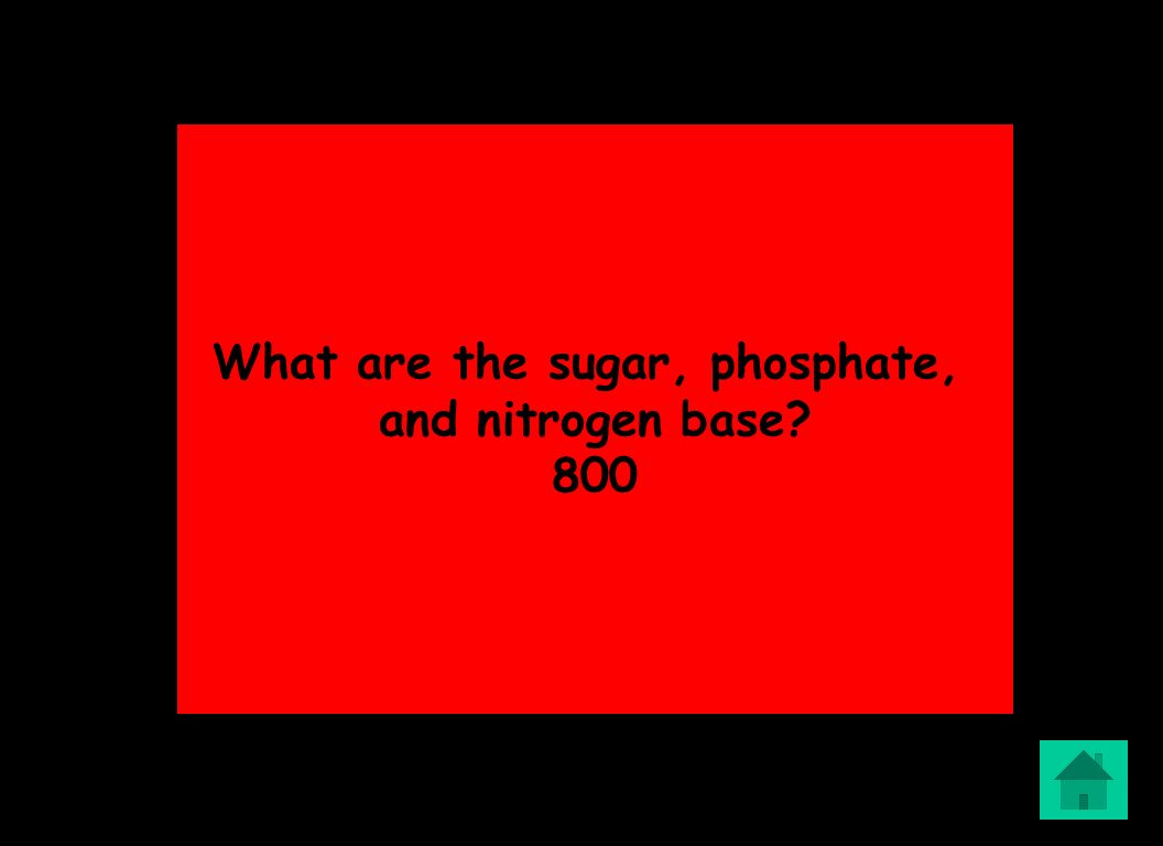 What are the sugar, phosphate, and nitrogen base 800