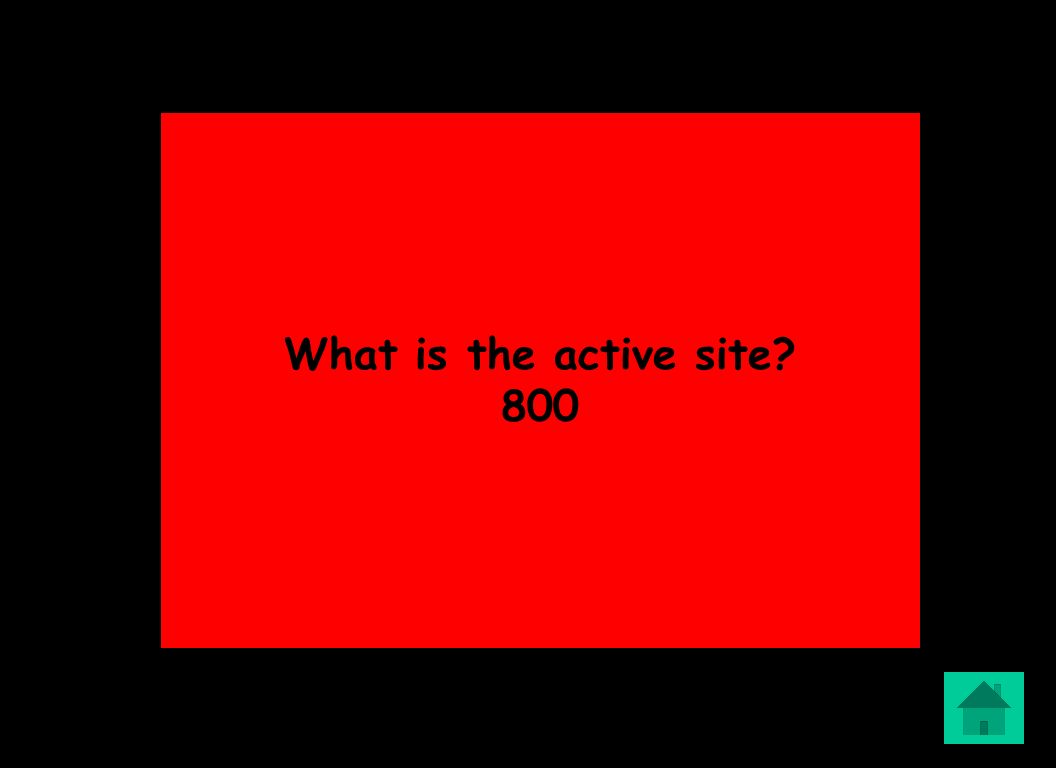 What is the active site 800