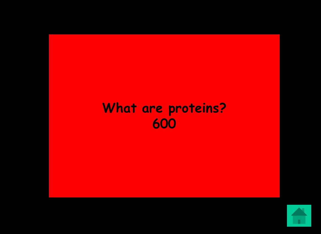 What are proteins 600