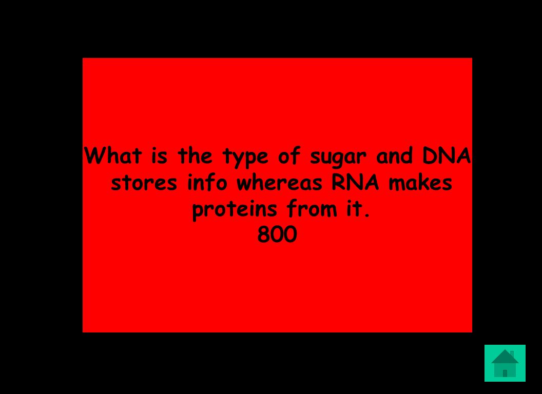What is the type of sugar and DNA stores info whereas RNA makes proteins from it. 800