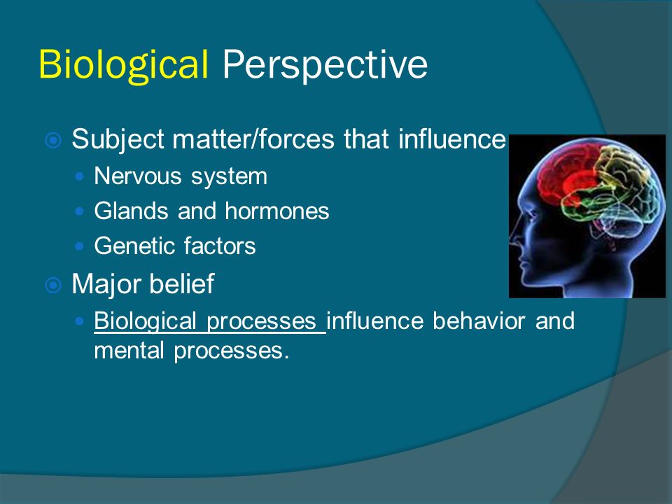 Biological Perspective  Subject matter/forces that influence Nervous system Glands and hormones Genetic factors  Major belief Biological processes influence behavior and mental processes.