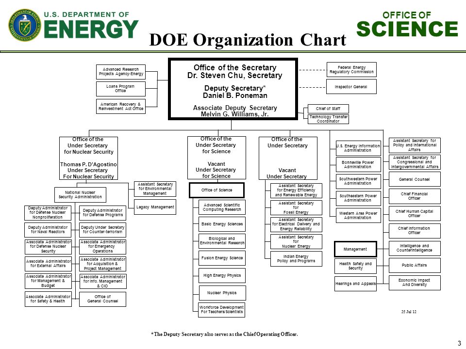 Doe Organization Chart