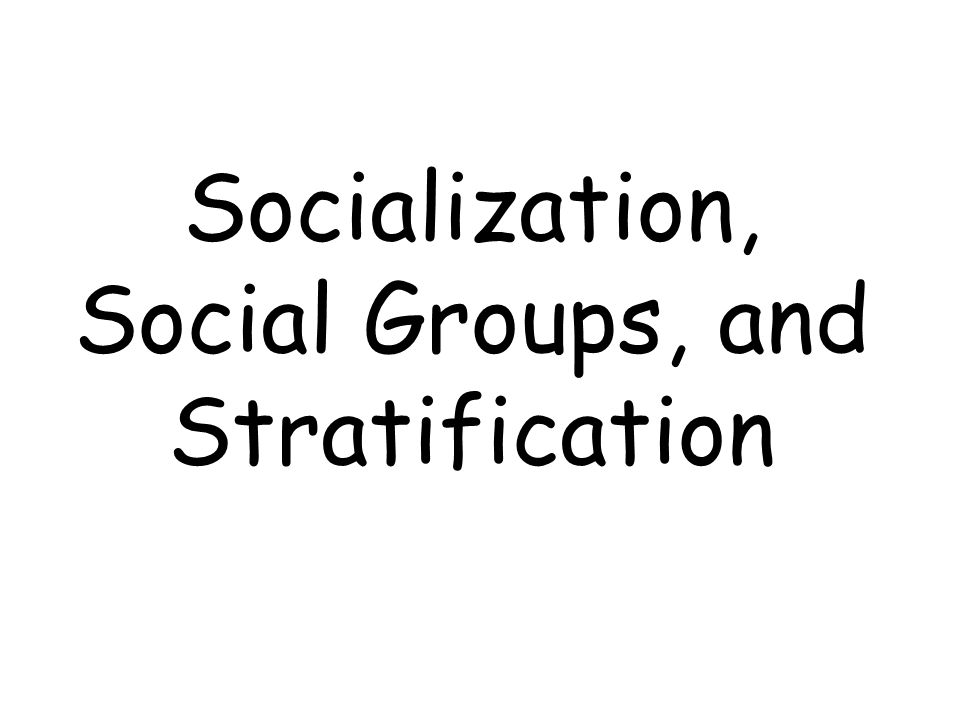 Socialization, Social Groups, and Stratification