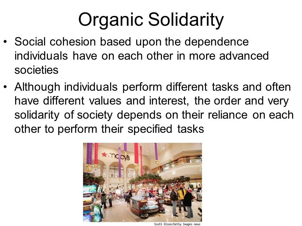 Organic Solidarity Social cohesion based upon the dependence individuals have on each other in more advanced societies Although individuals perform different tasks and often have different values and interest, the order and very solidarity of society depends on their reliance on each other to perform their specified tasks