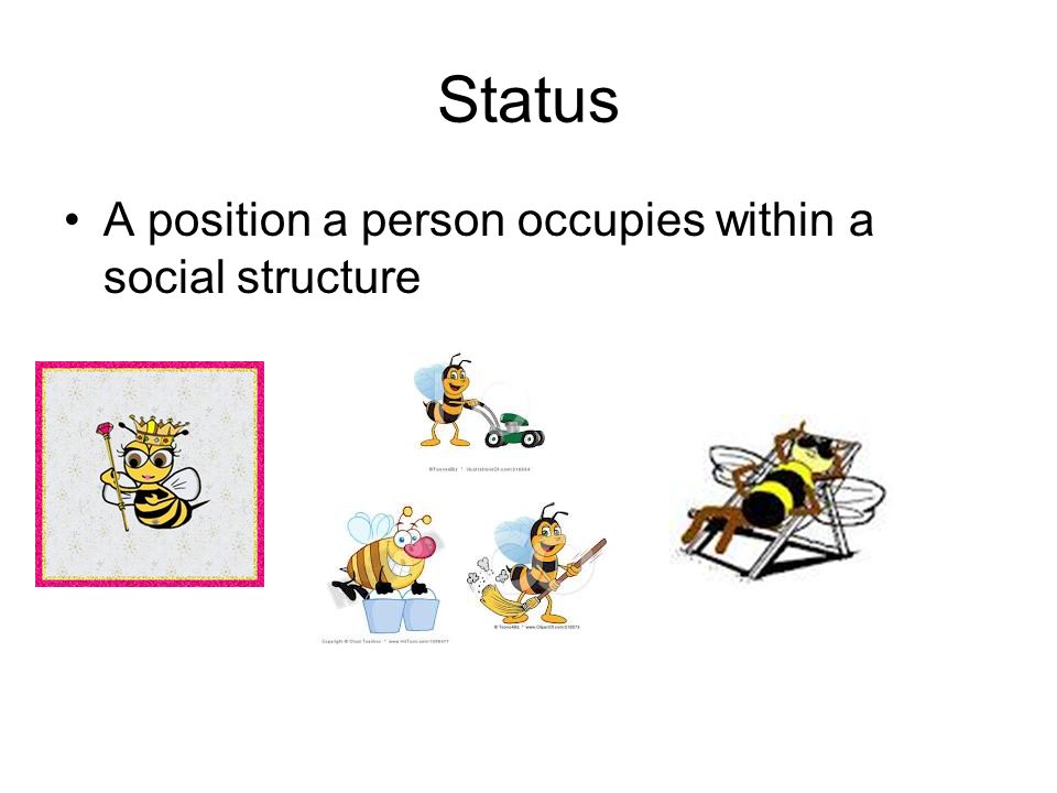 Status A position a person occupies within a social structure