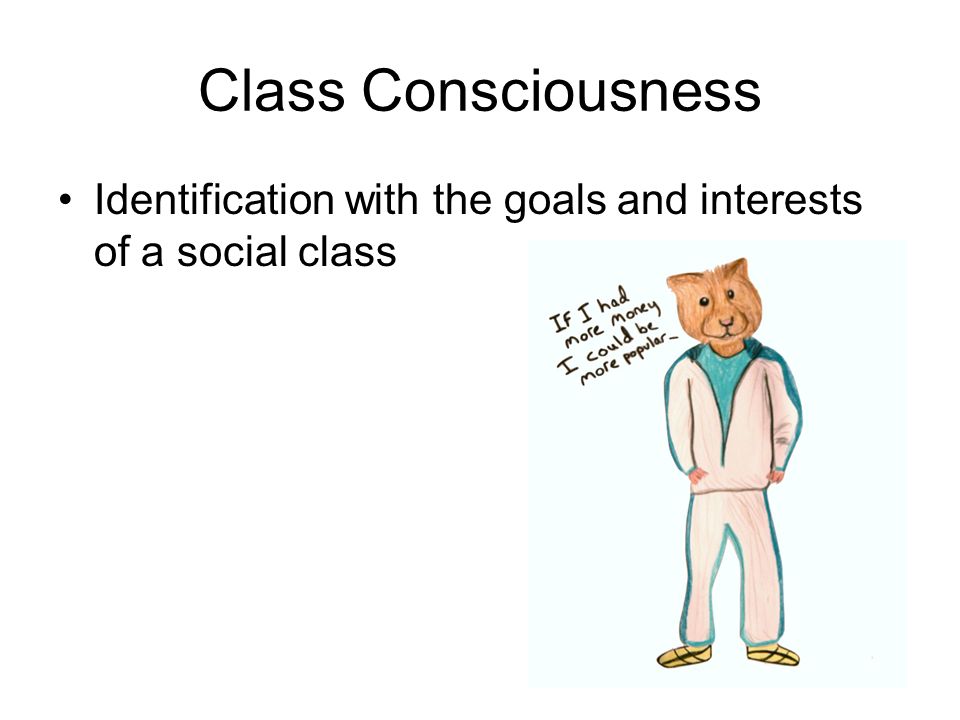 Class Consciousness Identification with the goals and interests of a social class