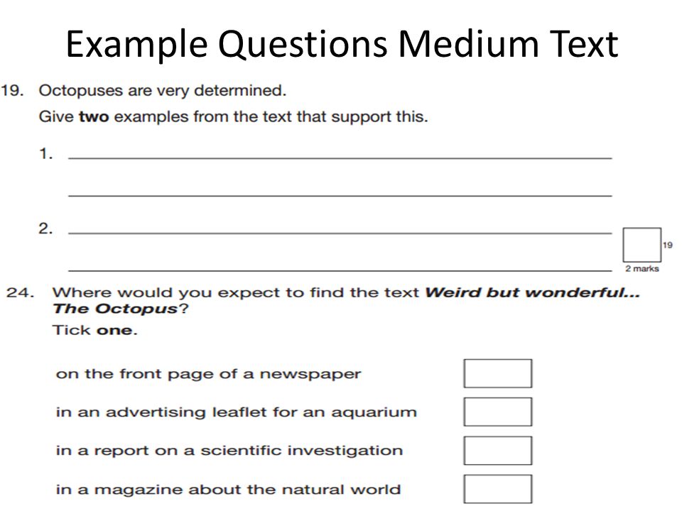 Example Questions Medium Text