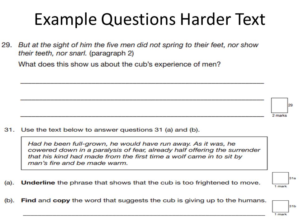 Example Questions Harder Text