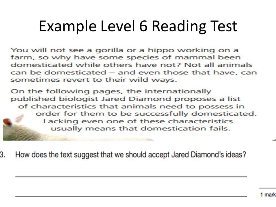 Example Level 6 Reading Test