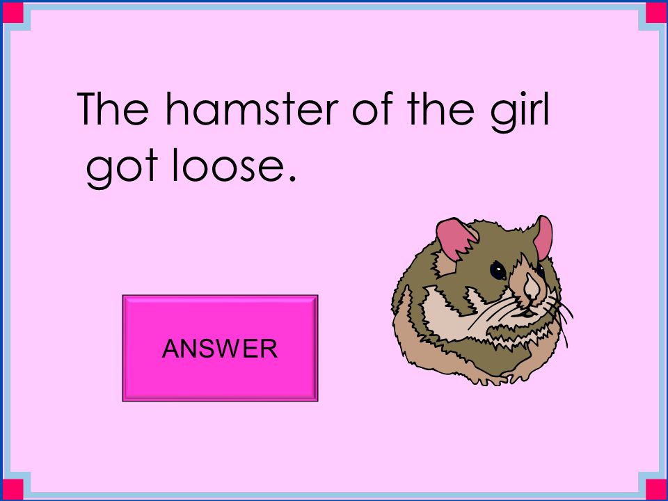 The hamster of the girl got loose. ANSWER