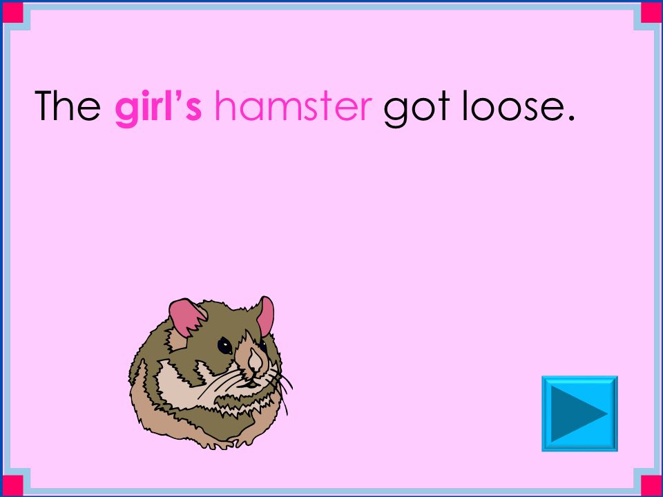 The girl’s hamster got loose.