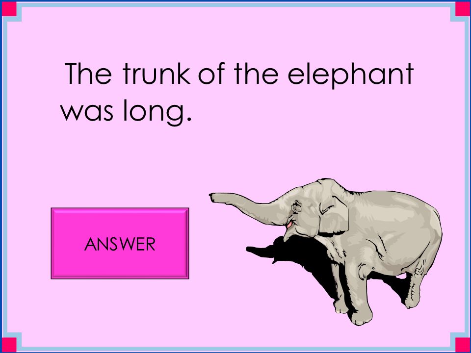 The trunk of the elephant was long. ANSWER