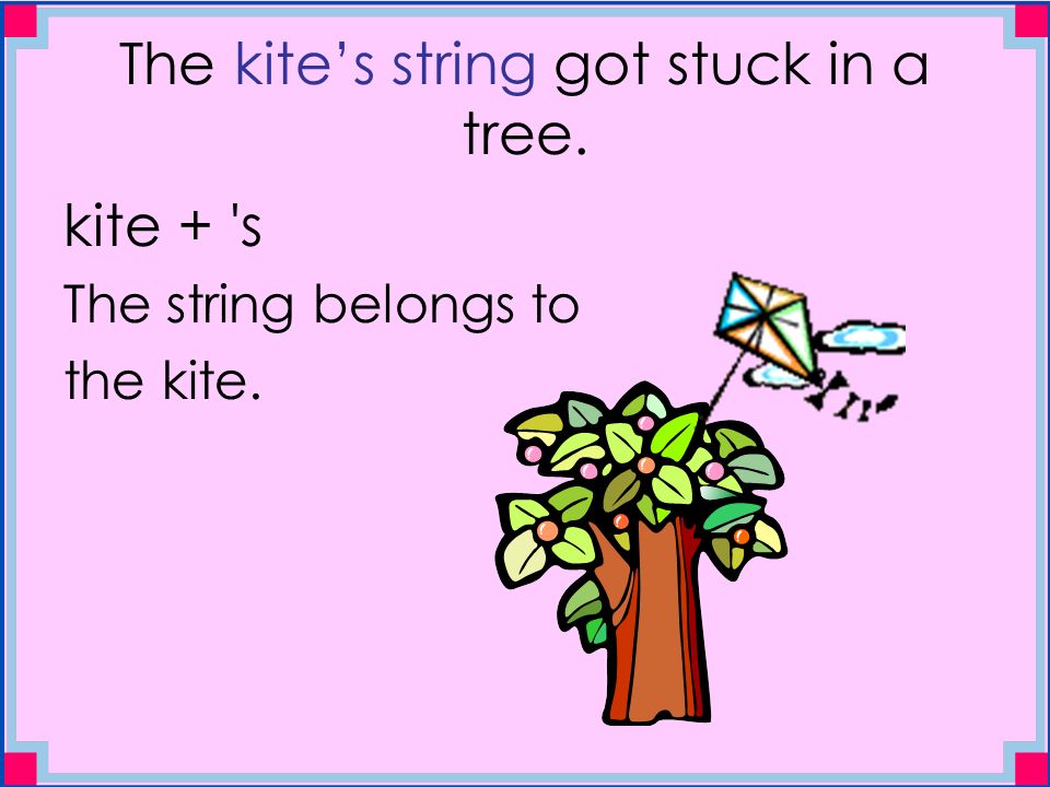 The kite’s string got stuck in a tree. kite + s The string belongs to the kite.