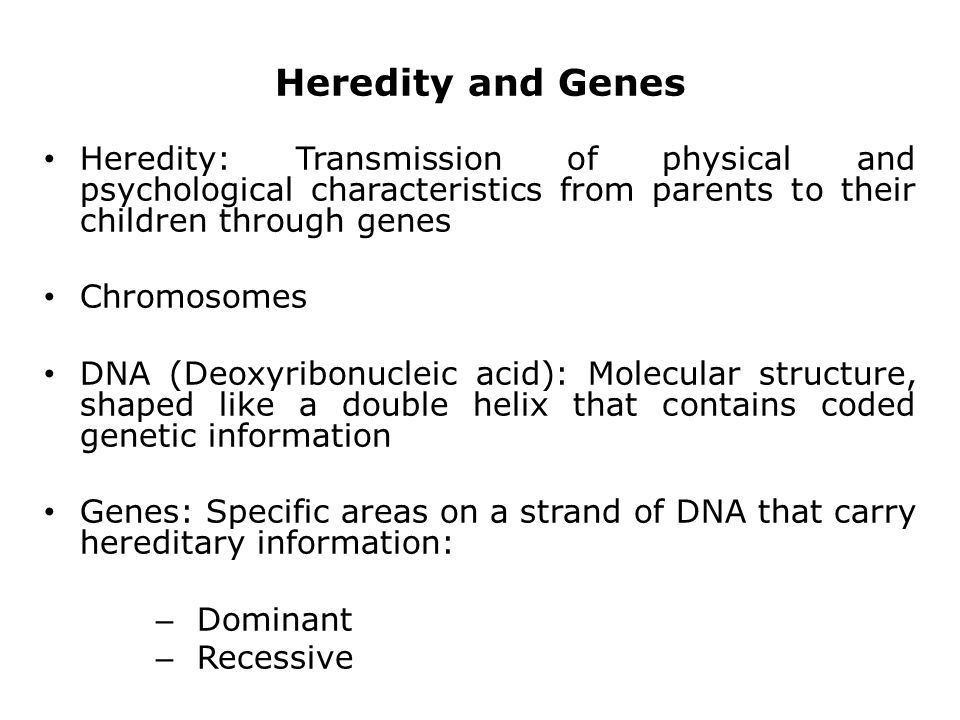 Heredity and Genes Heredity: Transmission of physical and psychological characteristics from parents to their children through genes Chromosomes DNA (Deoxyribonucleic acid): Molecular structure, shaped like a double helix that contains coded genetic information Genes: Specific areas on a strand of DNA that carry hereditary information: – Dominant – Recessive