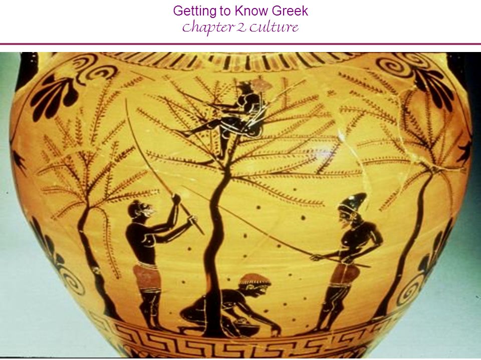 Getting to Know Greek Chapter 2 Culture