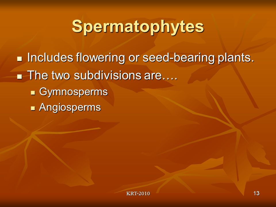 KRT Spermatophytes Includes flowering or seed-bearing plants.
